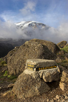 Kilimanjaro