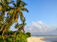 Maldives Surface