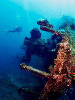 Palau Underwater