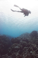 Diver