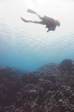 Diver