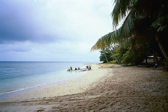 Beach, Fiji