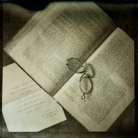 Vintage Bible