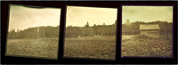 Landscapes