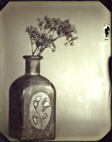 Flowers in a bottle #2