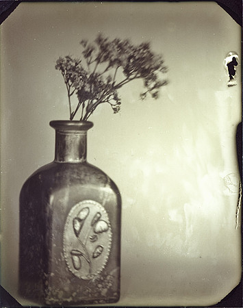 Flowers in a bottle #2