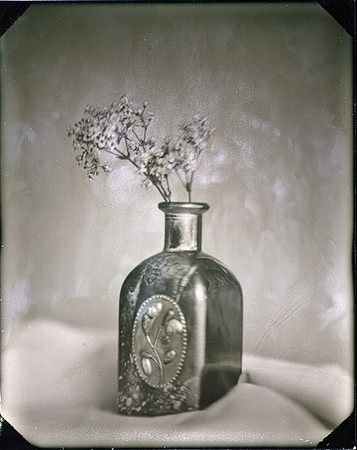 Flowers in a bottle #1