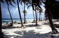 Half Moon Cay
