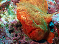 Underwater