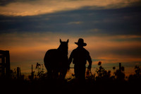 The Cowboy Life