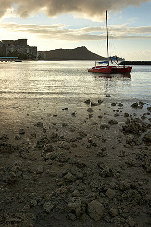 Waikiki Sunrise