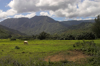 Hanalei, Kauai, HI