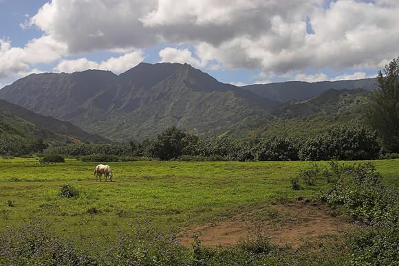 Hanalei, Kauai, HI