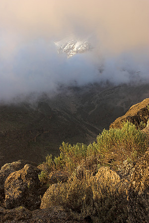 Kilimanjaro through the clouds