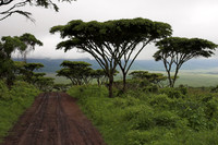 Tanzania